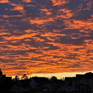 Meet your Posher, Allyson